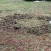 To nejsou čarovné kruhy, ale stopy raubíře