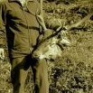 Dva nešťastníci – v nesprávný čas na nesprávném místě 