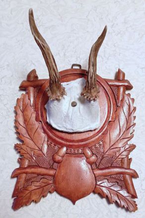 Srnčí trofej Srnčí trofej