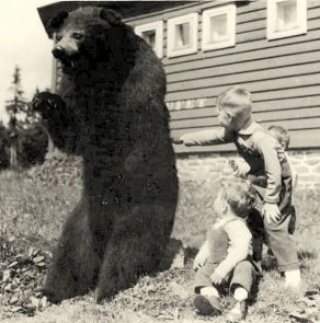 Krkonošský medvěd - Černá hora, srpen 1964