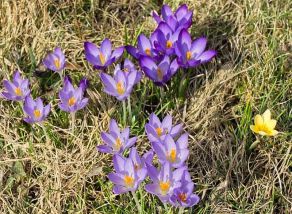 "Individualista" - foto Michal Kupec "Individualista" - foto Michal Kupec