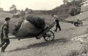 Lanování sena ve Velké Úpě (1945)