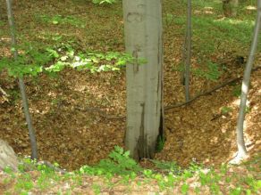 Propad dávné šachtice v zlatonosném revíru v Bartově lese - Rýchory