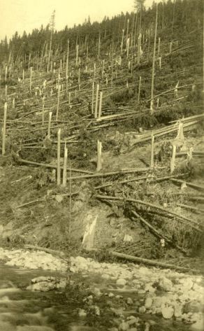 Následky větrné smrště z října 1930
