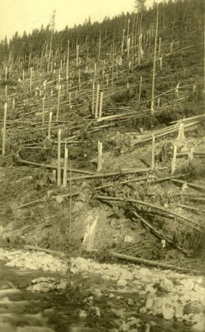 Následky větrné smrště z října 1930 Následky větrné smrště z října 1930