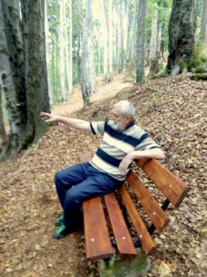 Obnovená lavička v bukovém lese - foto Josef Čermák